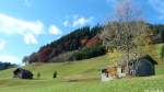 Oben verläuft der Panoramaweg zwischen Baad und Mittelberg (Bezirk Bregenz, Land Voralberg/Österreich, Oktober 2013)