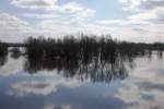 KOSTRZYN nad Odrą, 25.03.2009, Park Narodowy  Ujście Warty  (Nationalpark  Warthemündung )