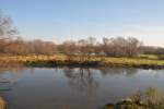 KOSTRZYN nad Odrą, 25.11.2011, Park Narodowy  Ujście Warty  (Nationalpark  Warthemündung )