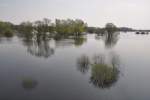 KOSTRZYN nad Odrą, 26.04.2013, Park Narodowy  Ujście Warty  (Nationalpark  Warthemündung )