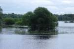 KOSTRZYN nad Odrą, 19.06.2010, Warthe mit Hochwasser