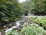 Fluss Kamienna bei Szklarska Poreba am Nordhang des Riesengebirge (11.09.2021)