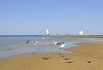 Am Strand vor Świnoujście (Swinemünde). Im Hintergrund ist Mühlenbake auf der Westmole zu sehen. Aufnahme: 6. Mai 2016.