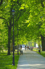 Der große Kurpark verbindet das Kurviertel mit dem Stadtzentrum von Świnoujście (Swinemünde). Aufnahme: 7. Mai 2016. 