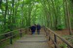 Nationalpark Wollin, Hinterpommern, Polen.