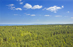 Die Ostsee und der Nadelwald auf der Insel Wolin (Wollin) von der Küstenbatterie Goeben aus gesehen.