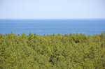 Die Ostsee und der Nadelwald auf der Insel Wolin (Wollin) von der Küstenbatterie Goeben aus gesehen.