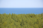 Die Ostsee und der Nadelwald auf der Insel Wolin (Wollin) von der Küstenbatterie Goeben aus gesehen. Aufnahme: 7. Mai 2016.