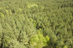 Aussicht vom Hochbunker »Goeben« auf der Insel Wollin.