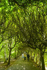 Wanderweg im Park Oliwska im Danziger Ortsteil Oliwa.