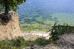 Blick auf Orlowski Kliff (Adlerhorst) vom Rezerwat Kępa Redłowska südlich von Gdynia (deutsch: Gdingen). Aufnahme: 15. August 2019.