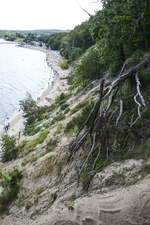 Der Strand am Orłowo (Adlerhorst) vom Kliff aus gesehen (Richtung Süd).