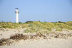 Dünen am Oststrand von Leba an der polnischen Ostsee.