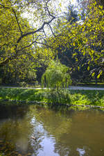 Im Park Książąt Pomorskich (Park der Pommerschen Herzöge) in Koszalin/Köslin. Um das Stadtzentrum von Koszalin liegen über zwei Kilometer grüne Anlagen am Dzierzecinka Fluss entlang. Aufnahme: 16. August 2020.