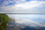 Mit einer Fläche von 75 Quadratkilometer ist der Lebasee (Jezioro Łebsko) der größte der pommerschen Strandseen.