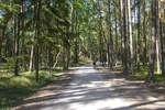 Auf dem Radweg Lęba nach Wydma Łącka (Lontzkedüne) im Słowiński Park Narodowy an der polnischen ostseeküste.