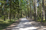 Auf dem Radweg Lęba nach Wydma Łącka (Lontzkedüne) im Słowiński Park Narodowy an der polnischen ostseeküste. Aufnahme: 17. August 2020.