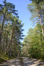 Wanderweg im Slowinzischen Nationalpark südlich der Lebasee (Łebsko) in Hinterpommern.