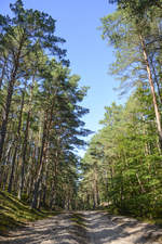 Wanderweg im Slowinzischen Nationalpark südlich der Lebasee (Łebsko) in Hinterpommern. Aufnahme: 18. August 2020