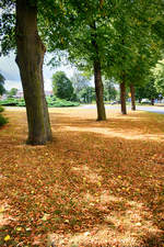 Im Park von »Uporkorzony« in Słupsk (Stolp) in Hinterpommern.