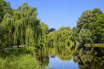 Der denkmalgeschützte Park der Pommerschen Herzöge in Koszalin/Köslin. In den Jahren 1933/34 wurde der Teich vergrößert und die Schwaneninsel angelegt. Aufnahme: 16. August 2020.