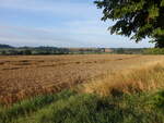 Getreidefelder bei Reszel / Rößel in Ostpreußen (04.08.2021)