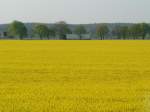 Polnisch-deutscher Gterverkehr auf der Strae (E30) im Zusammenspiel mit der Landschaft. 28.4.2007