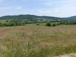Wiesen und Hügel im Karpatenvorland bei Rzeszow (17.06.2021)
