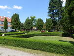 Im Schloßpark von Schloss Baranow-Sandomierski, Karpatenvorland (18.06.2021)