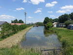 Kleiner See an der Weichsel bei Baranow (18.06.2021)