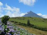 Der Vulkan Pico, auf der gleichnamigen Azoren-Insel, ist mit 2351m Höhe der höchste Berg Portugals. Er ist etwa 1500km vom Festland entfernt. Aufgenommen am 28.07.2023.