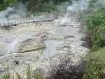 Heiße Quellen im Geothermalgebiet von Furnas auf der Azoren-Insel Sao Miguel. Aufgenommen am 23.07.2023.