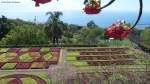 Teilansicht vom Botanischen Garten -  Jardim Botanico  in Funchal (Madeira - Februar 2014)