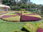 Teilansicht vom Botanischen Garten -  Jardim Botanico  in Funchal (Madeira - Februar 2014)