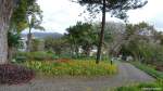 Oberhalb des Hafens gelegen: Santa Catarina Park in Funchal (Madeira - März 2014)