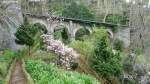 Magnolien vor der alten Brücke (Viadukt der einstigen Zahnradbahn Funchal - Monte) oberhalb vom  Monte Palace Tropical Gardens  oberhalb von Funchal/Madeira (März 2014)