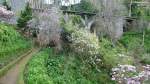 Diverse Blütenfarben einiger Magnolien vor der alten Brücke (Viadukt der einstigen Zahnradbahn Funchal - Monte) oberhalb vom  Monte Palace Tropical Gardens  oberhalb von Funchal/Madeira (März 2014)