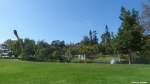 Leicht hügelig liegt der Santa Catarina Park in Funchal oberhalb des Hafens mit seinen teilweise windschiefen Bäumen (Madeira - März 2014)