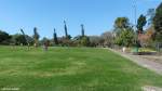 Leicht hügelig liegt der Santa Catarina Park in Funchal oberhalb des Hafens (Madeira - März 2014)