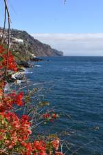 FUNCHAL, 23.01.2018, Blick vom Fortaleza de São Tiago in Richtung Osten