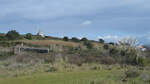 Eine Wiese in Portugal.