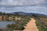 OLHÃO, 09.02.2020, im Naturschutzgebiet Ria Formosa östlich der Stadt; im Hintergrund der 411 m hohe Cerro de São Miguel