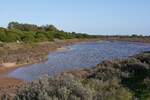 ALMANCIL, 28.01.2022, auf dem Ludo-Trail, einem mehrere km langen Weg durch die Ria Formosa, der von Almancil bis zum Flughafen Faro reicht und auf dem sich Jogger, Biker und normale