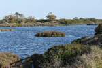 ALMANCIL, 28.01.2022, auf dem Ludo-Trail, einem mehrere km langen Weg durch die Ria Formosa, der von Almancil bis zum Flughafen Faro reicht und auf dem sich Jogger, Biker und normale