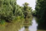 Rumnien, Donaudelta bei Tulcea (06.08.2009)