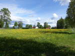 Wiesen und Bauernhöfe bei Arvet, Dalarnas län (16.06.2017)