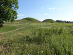 Hügelgräber in Gamla Uppsala (02.06.2018)