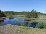 Kleiner See bei Öje, Värmlands län (31.05.2018)