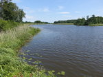 Mälarensee bei Ängsö, Västmanlands län (15.06.2016)