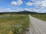 Berg Högfjället 1278 M.